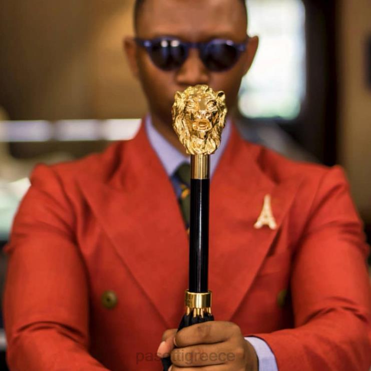 ομπρέλα | PASOTTI 479 51399-3 w37 - χρυσή ομπρέλα λιονταριού 2N6B869 άνδρες